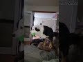 Playtime doesn't stop just because it's late