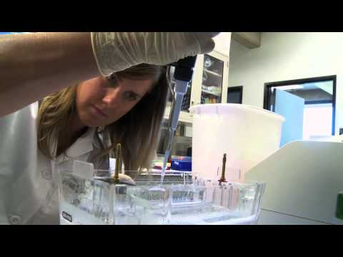 Scientists at UC Davis Using the ChemiDoc™ MP Imaging System