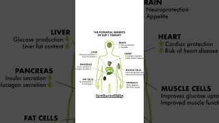 I rank the lifestyle factors that matter most for cancer prevention.