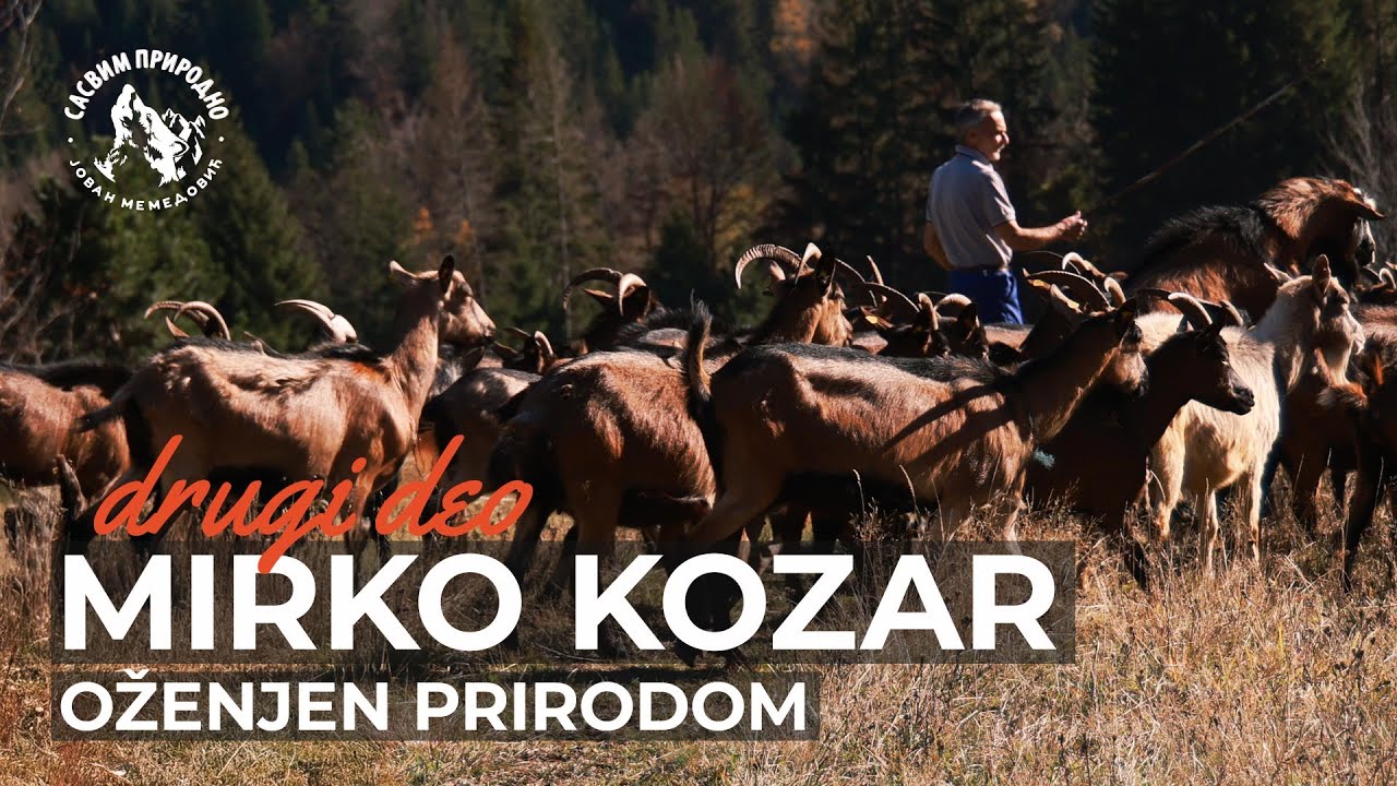 SASVIM PRIRODNO: Mirko kozar 2. deo