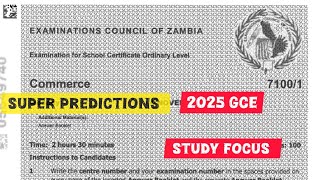 📚 Commerce 2025 G12 Super Predictions & Study Tips | Pass With Confidence! ✅