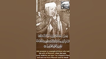 عجيب وغريب هذا المقطع ! سورة التحريم عبد الباسط عبد الصمد #اكسبلور