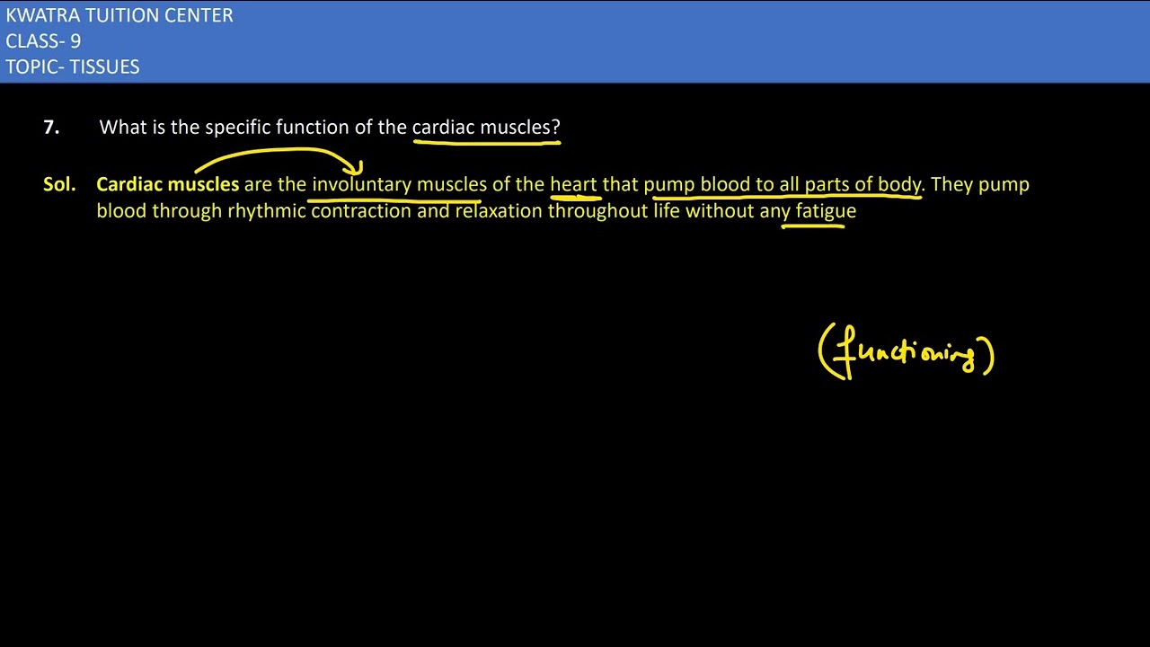 7. What is the specific function of the cardiac muscles?