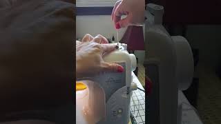 Propper way to thread your bobbin✨️🧵🪡#pov #foryou #foryoupage #sewing #sahm #bobbin #diy #sewinghack