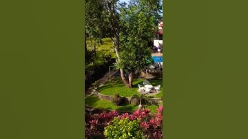 Garden Villa in Don Salvador Benedicto #relaxing  #Summer #adventure #travel