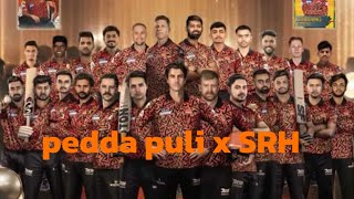 Pedda puli x srh edit #trending #viral #trendingnow#shorts