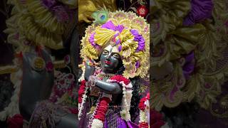 🌸Today’s Special Darshan 21 Apr 2026🌸Sri Sri Radha Madhava Mandir ISKCON Attapur #iskcon #darshan