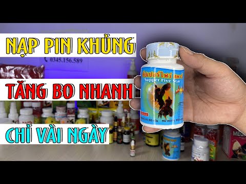 Video 7 bước chỉ dẫn cho anh em mới nuôi gà trải qua phương... - youtube