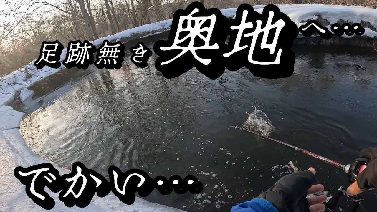 まだ誰も踏み入れてない奥地へ…大型の潜む湿原下流エリア#アメマス #湿原河川 #北海道釣り