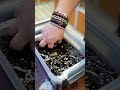 ТЕСТ НАДЕЖНОГО НОЖА ?#юмор #нож #приколы #EDC
