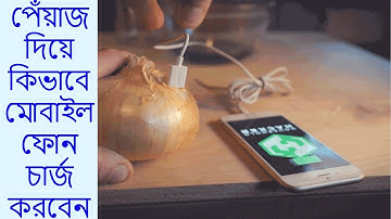 পেঁয়াজ দিয়ে কিভাবে মোবাইল ফোন চার্জ করবেন