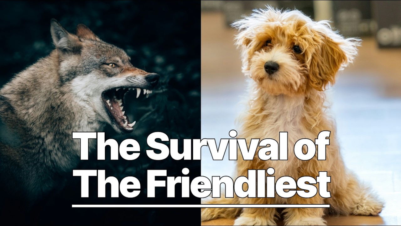 The History of Dogs - YouTube