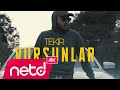 Tekir - Vursunlar