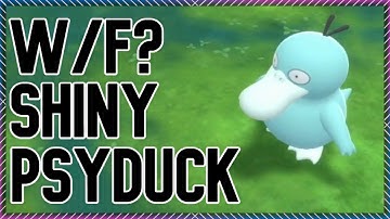 W/F? Live Shiny Psyduck in BDSP Great Marsh after 106 REs #SafariWeek2022