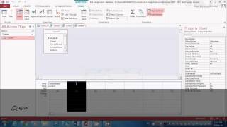 Bus 413 Microsoft Access Tutorial