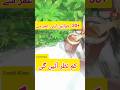 https://youtu.be/rqtEfhygwAY?si=8ruHX-pT-FGycwYw Young Look #shorts #viral #trending #youtubeshorts