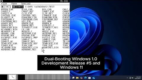 Dual-Booting Windows 1.0 Development Release #5 and Windows 11
