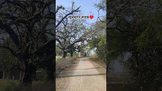 खूबसूरत सड़क ♥️ #sadak #rasta #vlog #vlogs #village #villagelife #villagevlog #foryou #fyp #morning