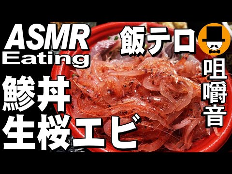 生桜エビ鯵丼と鮭弁当[咀嚼音 飯テロ 動画]日清どん兵衛鴨だし蕎麦を食べるオヤジJapan