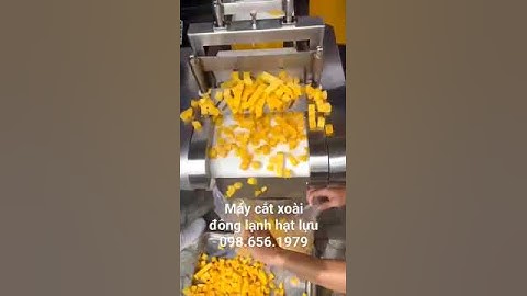 máy cắt xoài hạt lựu, máy cắt xoài đông lạnh xuất khẩu