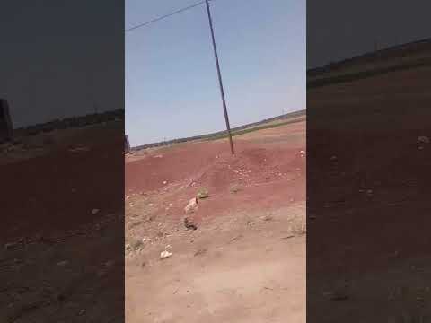 ساقط ساقط يا بشار يا ايراني كلبك ودع سوريا الحره لايك واشتراك