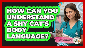 How Can You Understand A Shy Cat