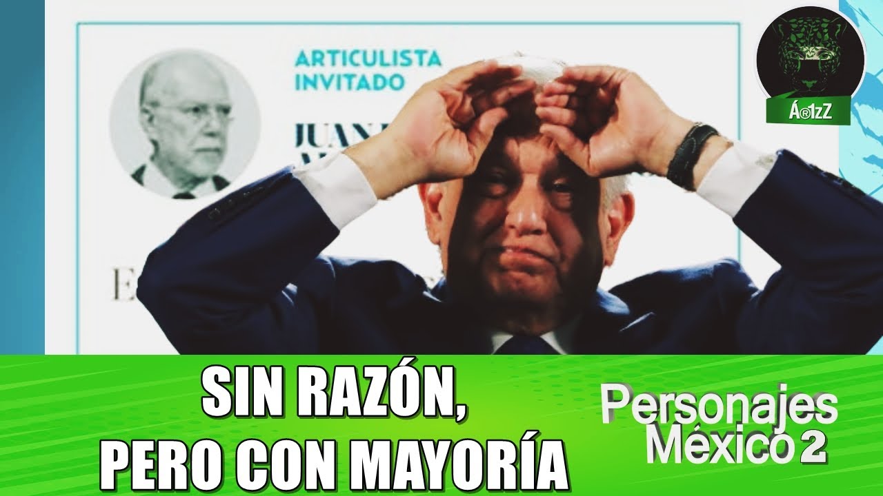 La estulticia de la sin razón en la próxima Reforma al Poder Judicial ...