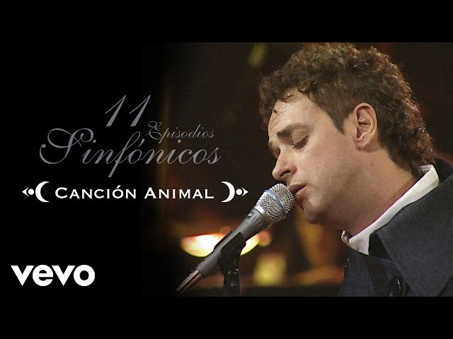 Gustavo Cerati - Cancion Animal