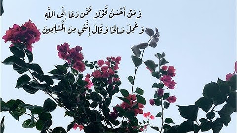ومن أحسن قولاً ممن دعا إلى الله وعمل صالحاً   عشائية عراقية هادئة ~ ماتيسر من سورة فصلت