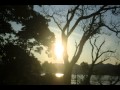 霧笛(難船) 【演奏　erick kurachi】【cover　1385hiro】