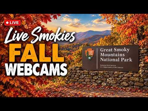 SMOKIES FALL COLORS WEBCAMS 10.17.26, Gatlinburg, Pigeon Forge & the Great Smoky Mountains