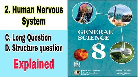 Class 8 Science Chapter 2 | human nervous system | long |structure | questions|answer| ilmi darasgah
