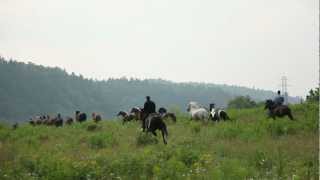 Horseback riding - A real horseback Round Up. Only 20 minutes from Ottawa.