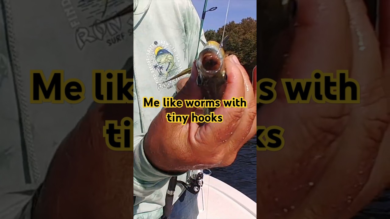 🎣Finding the Perfect Hook Sizes for Bluegill Fishing! 🔍