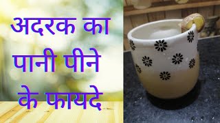 अदरक का पानी पीने के फायदे || Benefits of Drinking Ginger Water || Evaluation of Life|| Ginger Water