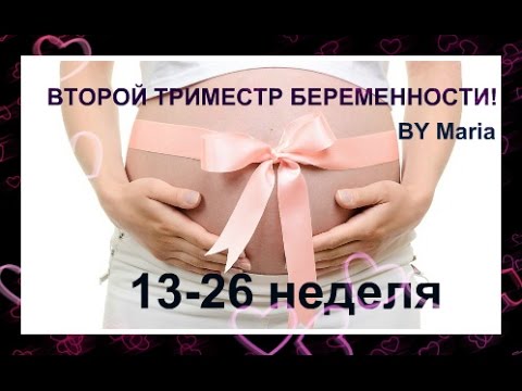 ♡Моя ВТОРАЯ БЕРЕМЕННОСТЬ! Второй триместр (13-26 неделя беременности)/ BY Maria