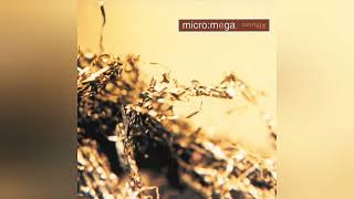 MICRO:MEGA - Annex - 2002