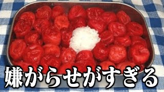 【衝撃】喧嘩した翌日に作ってもらったお弁当がツッコミどころ満載すぎる件wwwwww