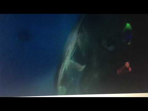 Finding Nemo - Just Keep Swimming