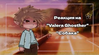 13 Карт|Реакция на "Valera Ghosther" - Собака (Прочитай Опис.♡)