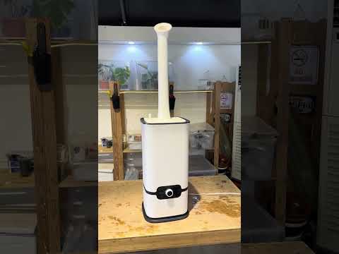 عين الحسود محمية صديق البيئة