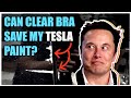 Should You Buy Clear Bra for Your Tesla?