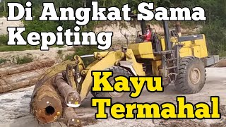 BEGINI MUAT KAYU LOG DARI DARAT KE ATAS TONGKANG PAKAI LOADER KEPITING
