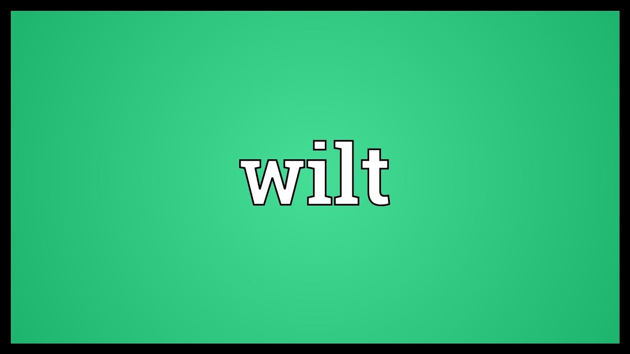 Wilt Meaning YouTube Wilt Meaning YouTube