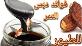 فوائد دبس التمر للطيور والجرعة الصحيحة