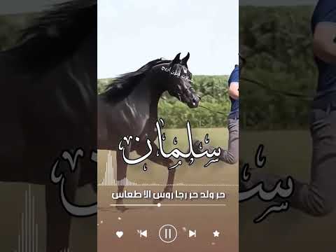 شيلة باسم سلمان اكسبلور جديدي مدح باسم سلمان اداء فهد العيباني فهد العيباني شيلات تصميمي مدح