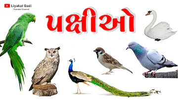 પક્ષીઓના નામ અને અવાજ | Birds Name And Sound | Kids Video by Liyakat Badi