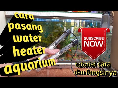 Video: Pemanas terbaik untuk Tangki Ikan Akuarium 5 Galon Air Tawar: Ulasan