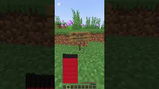 Minecraft Ama 1000 Kalbim Var.