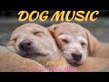 20 hours of deep sleep dogmusicdeep separation anxiety music for dog relaxation healingmate